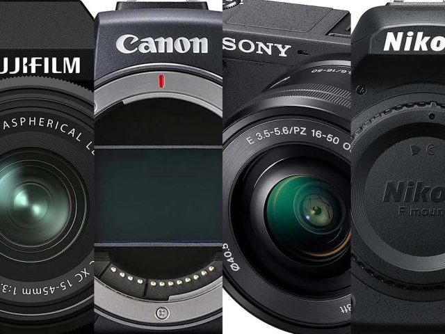 Best DSLR Cameras Under $1000: Quality Shots on a Budget