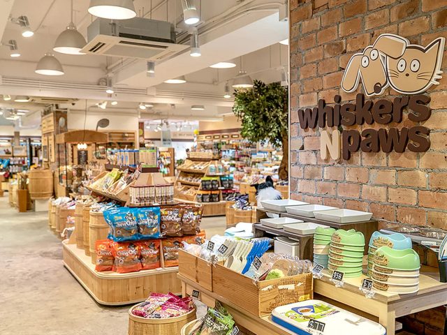From the initial chaos of new dog ownership to finding a steady rhythm: WNP solved my pet product selection anxiety